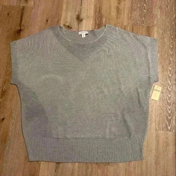Coldwater creek women's size 2x sparkling dolman top silver - Picture 1 of 5